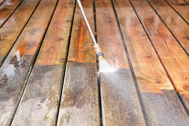 Best Roof Pressure Washing  in West Little River, FL